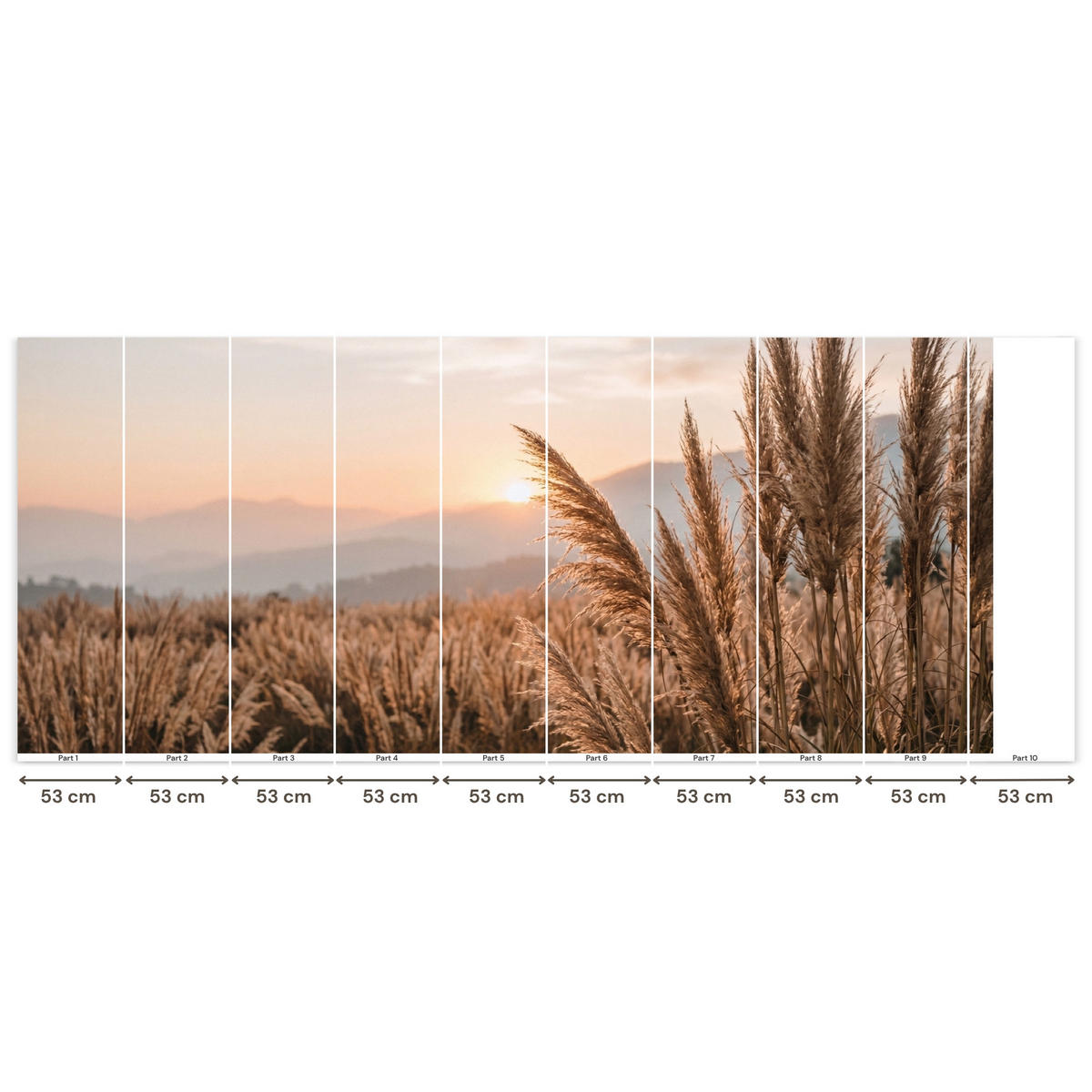 TAPETE - Gras - Feld - Sonne - Natur - 450x200 cm - Sandfarben, Papier (450/200cm) - OnlyWow