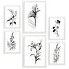 POSTER Set Mit 6 Blumenstrauß Schwarz und Weiß Größe A3 & A4 Weißer Rahmen - Weiß, Papier (29.7/1cm) - Nacnic