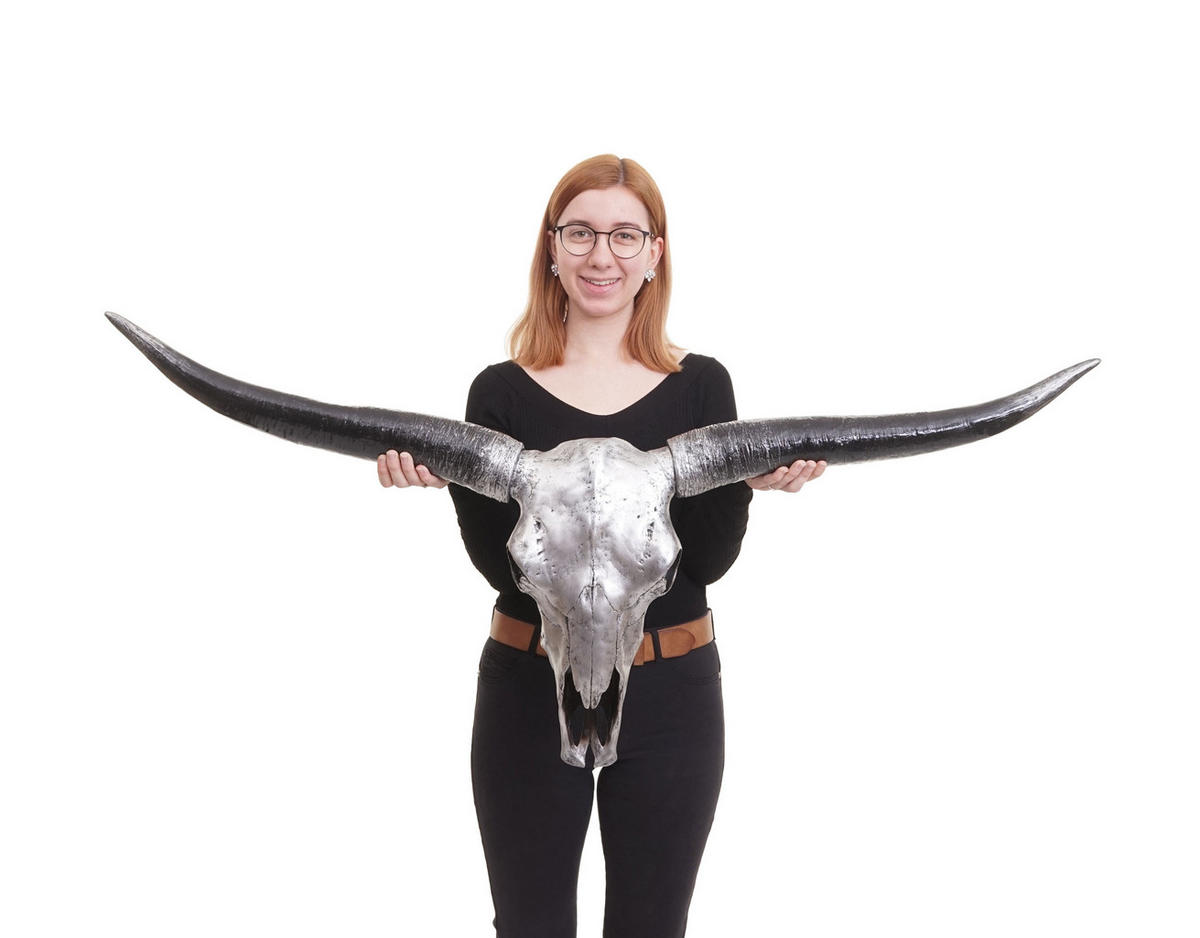 DEKO SCHÄDEL STIER Silbergrau - Grau, Stein (132/56/15cm) - MCW