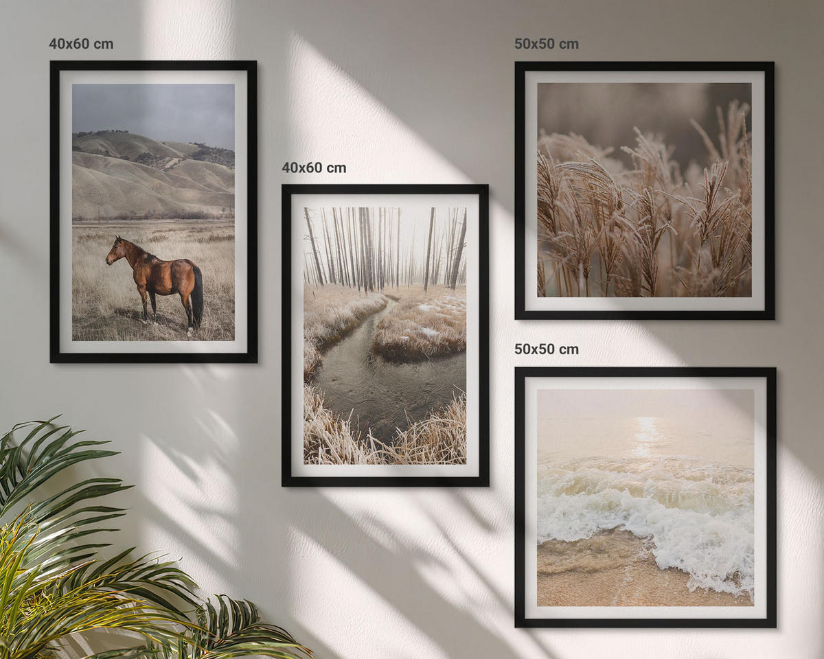 WANDBILDER 4er-Set - 50x50 cm & 40x60 cm Schwarzer Rahmen - Pferdelandschaft Seegraswald - Schwarz, Kunststoff (50/50cm) - ArtPrintCave