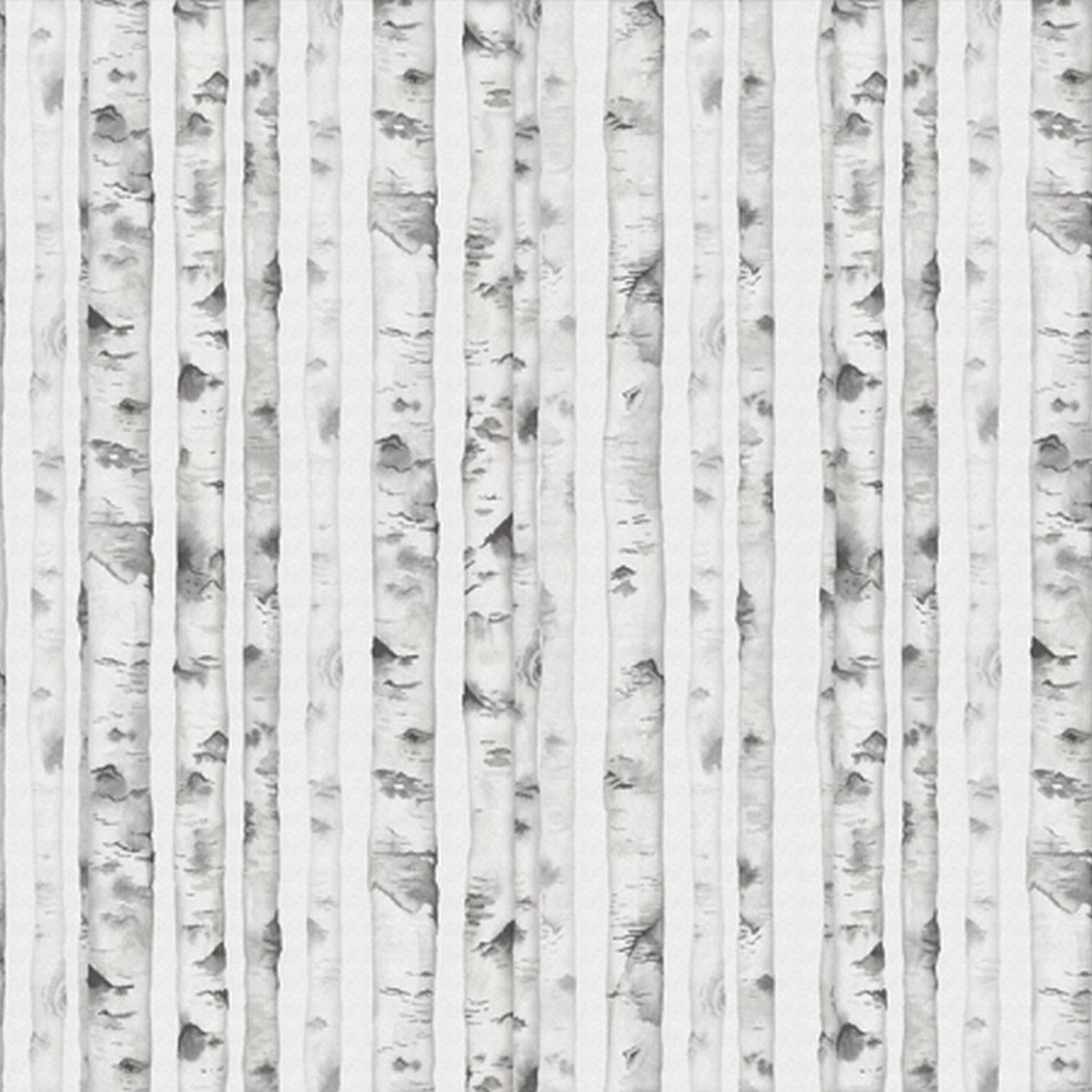 FOTOTAPETE Wald 424 x 280 cm - Grau, Papier (424/280cm) - Sanders & Sanders