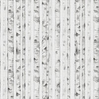 FOTOTAPETE Wald 424 x 280 cm - Grau, Papier (424/280cm) - Sanders & Sanders