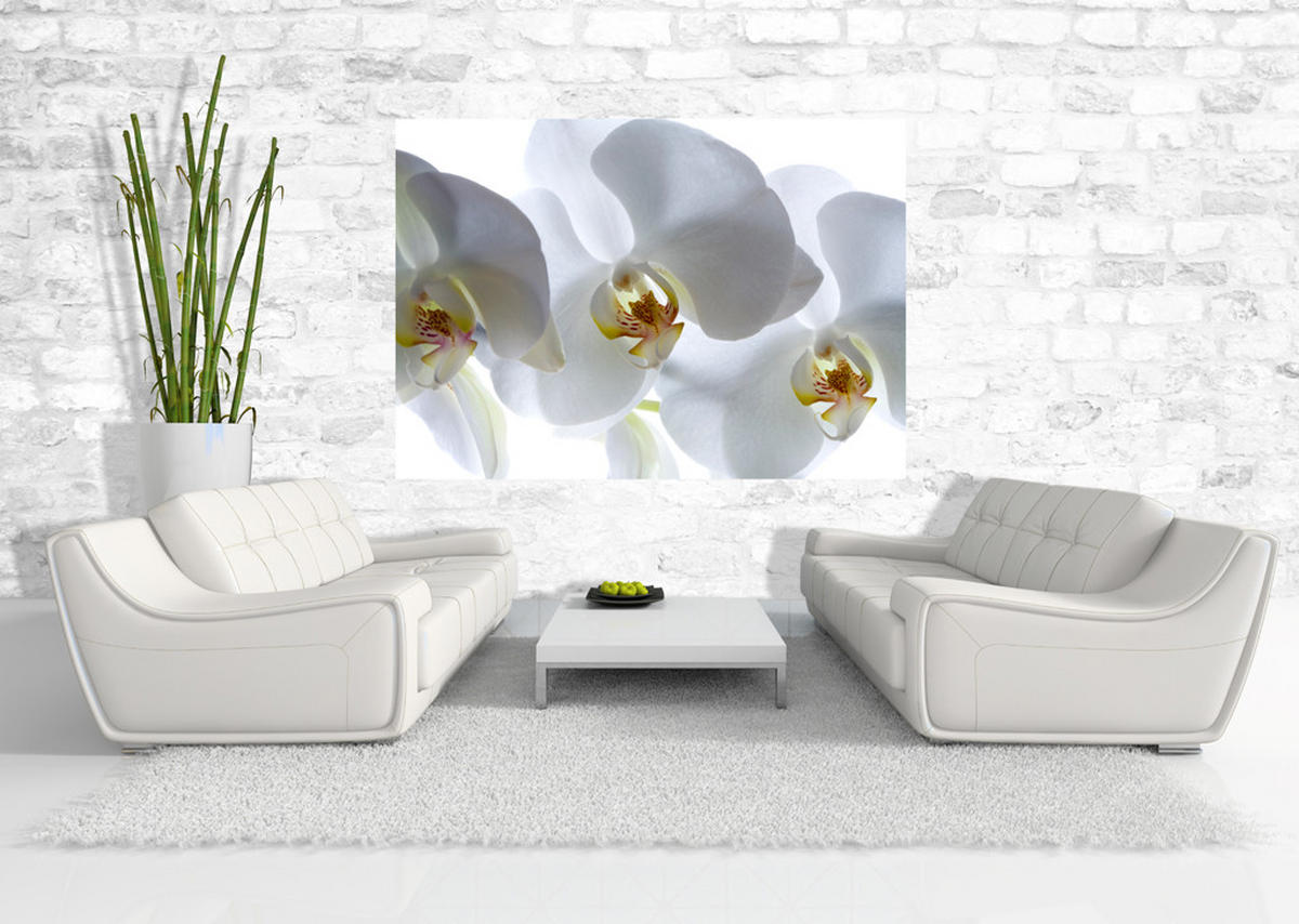 FOTOTAPETE Blumen 180 x 127 cm - Weiß, Papier (180/127cm) - Sanders & Sanders