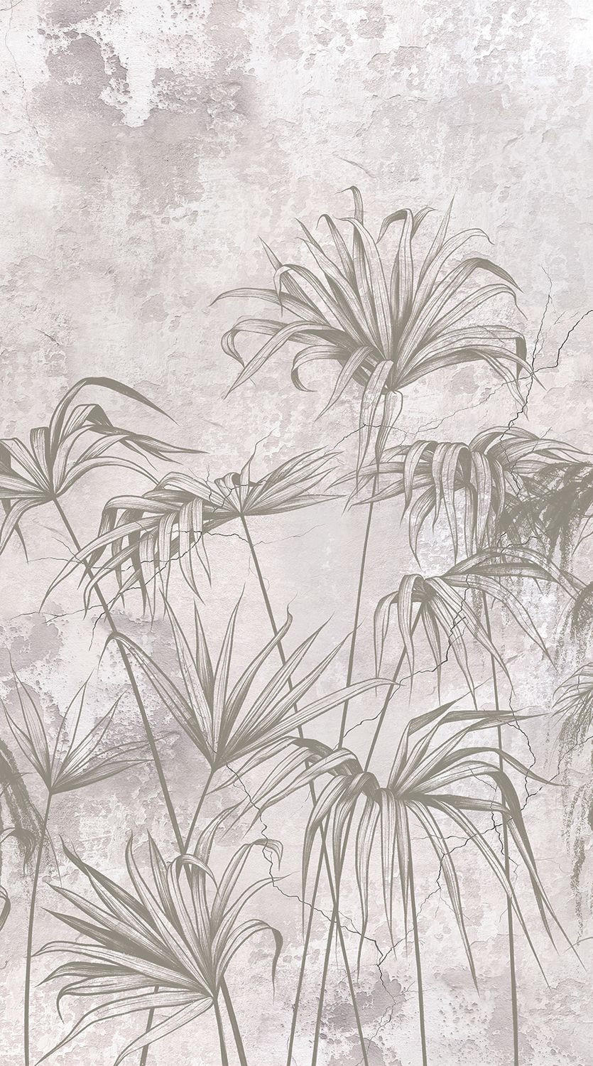 FOTOTAPETE tropische Pflanzen 270 x 150 cm - Grau, Papier (270/150cm) - Sanders & Sanders