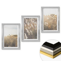 WANDBILDER 3er Set - 20x30 cm Silberner Rahmen - Landschaftsgrasblumen Wärme - Silberfarben, Kunststoff (20/30cm) - ArtPrintCave