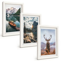 BILDER SET 3er Set - 20x30 cm Weißer Rahmen - Bergsee, Bootsfahrt, Sonnenuntergang, Hirsche - Weiß, Kunststoff (20/30cm) - TULUP