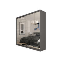 SCHWEBETÜRENSCHRANK FIORELLA 200/216/61 cm 2-türig mit Spiegel Grau - Grau, Holzwerkstoff (200/216/61cm) - MASSENO