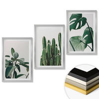 WANDBILDER 3er Set - 40x60 cm Silberner Rahmen - Tropische ästhetische Pflanzen - Silberfarben, Kunststoff (40/60cm) - ArtPrintCave