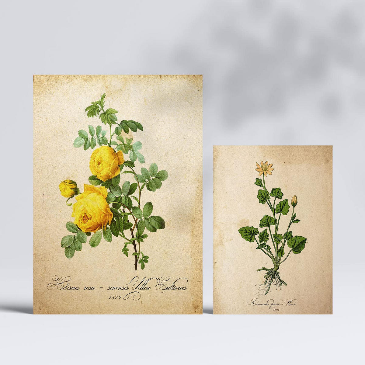 POSTER Set Mit 6 Gelbe Blumen Vollfarbige Blumenmotiven Im Vintage Papier Stil A3 & A4 Rahmenlos - Klar, Papier (29/3cm) - Nacnic