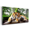 GLASBILD 120x60 cm Tiger - Hellbraun, Glas (120/60cm) - TULUP