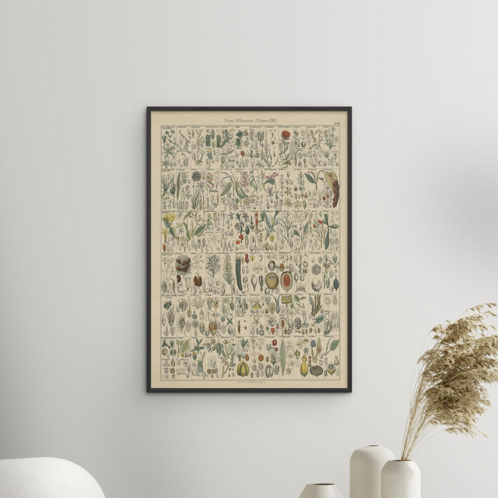 POSTER mit Rahmen Wild Apple - Flora Chart II - Schwarz/Grün, Holz/Papier (30/40cm) - Poster&Frame
