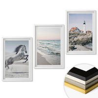 WANDBILDER 3er-Set - 40x60 cm Weißer Rahmen - Pferde, Strand, Leuchtturm, Wellen - Weiß, Kunststoff (40/60cm) - ArtPrintCave
