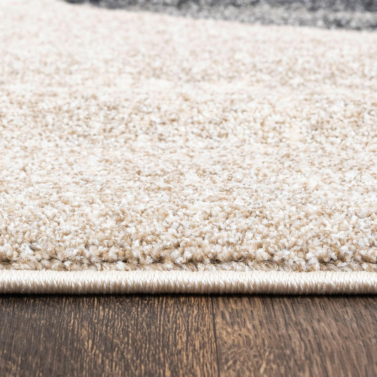TEPPICH Beige Geometrisch In-Outdoor Pflanzlich Kurzflor Rechteckig 120 x 170 cm - Dunkelgrau/Beige, Textil (120/170cm) - Mazovia