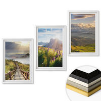 WANDBILDER 3er-Set - 40x60 cm Weißer Rahmen - Berglandschaft mit Blumen - Weiß, Kunststoff (40/60cm) - ArtPrintCave