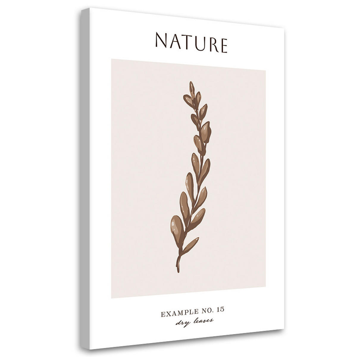 WANDBILD trockene blätter natur - Beige, Textil (40/60cm) - Feeby