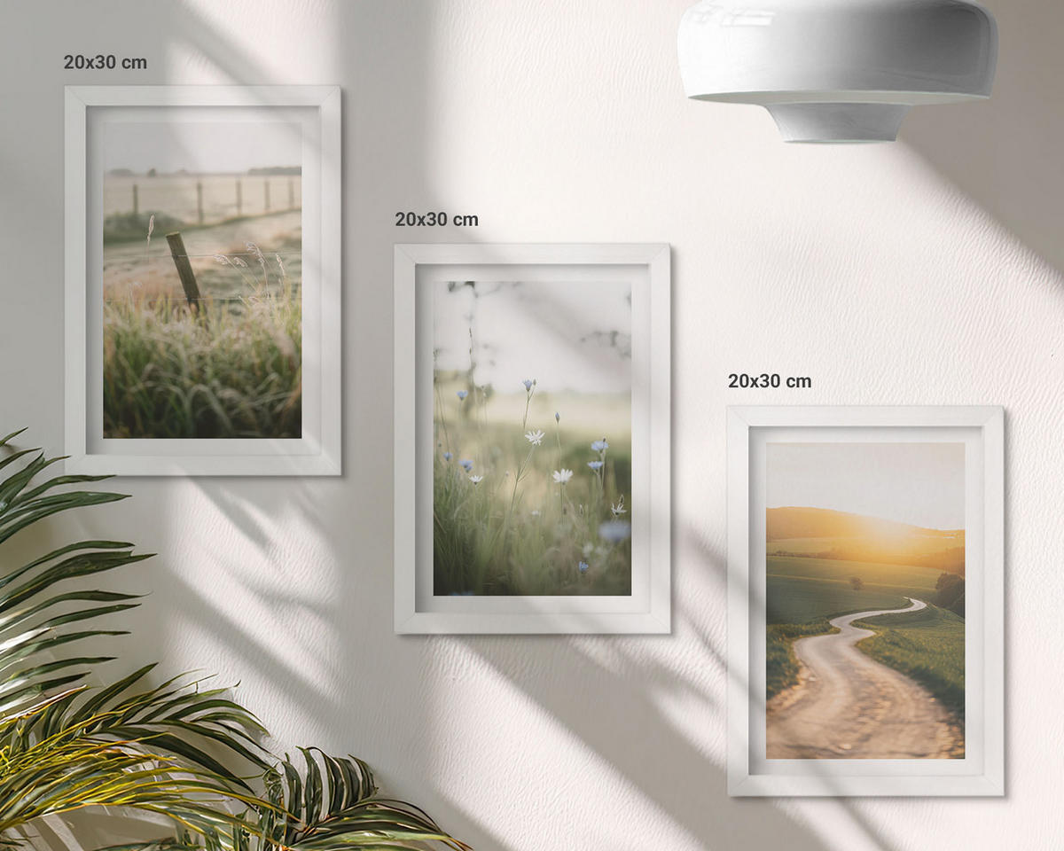 WANDBILDER 3er-Set - 20x30 cm Weißer Rahmen - Landschaftswiesenstraße West - Weiß, Kunststoff (20/30cm) - ArtPrintCave