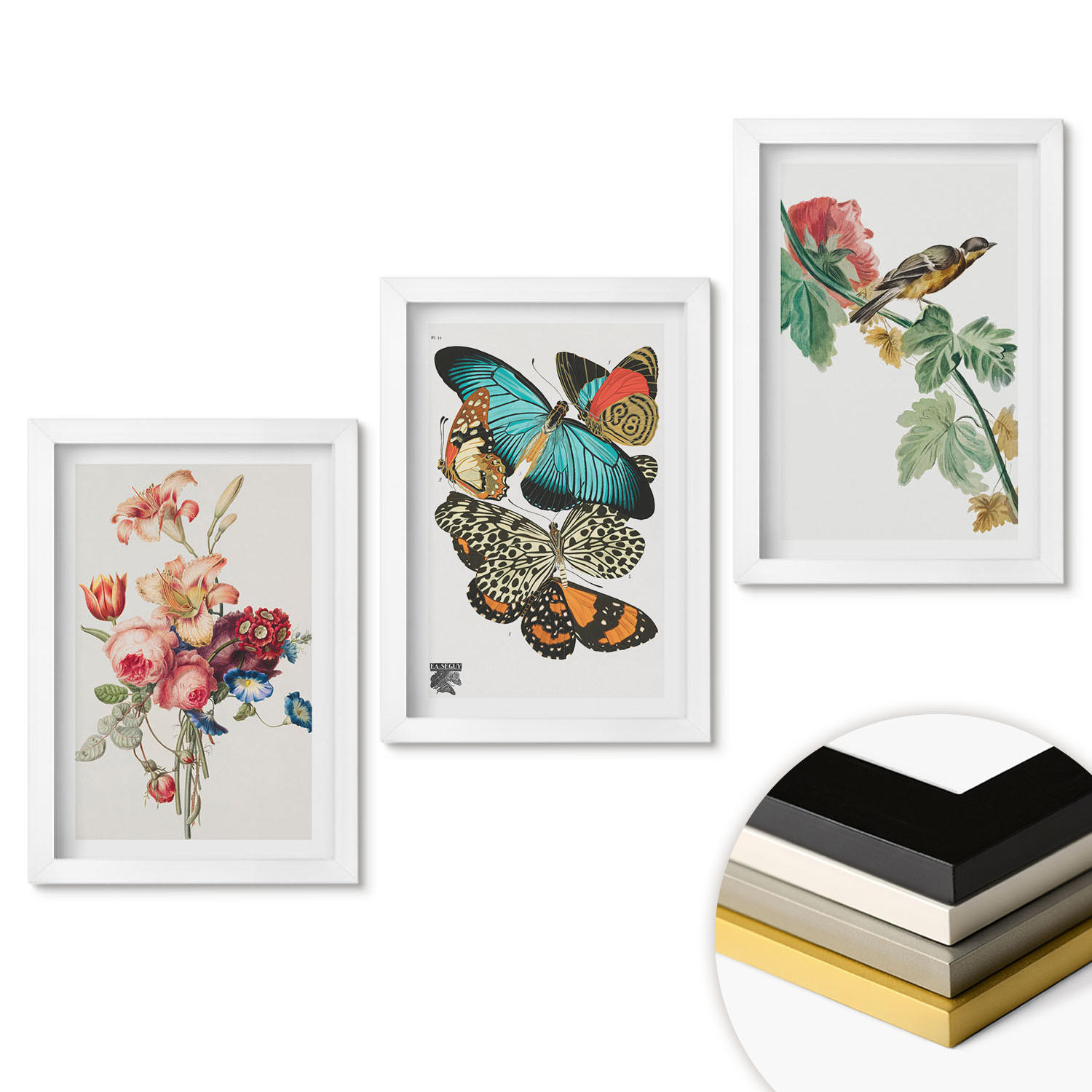WANDBILDER 3er-Set - 20x30 cm Weißer Rahmen - Blumen, Schmetterlinge, Vögel, Pastellfarben - Weiß, Kunststoff (20/30cm) - ArtPrintCave