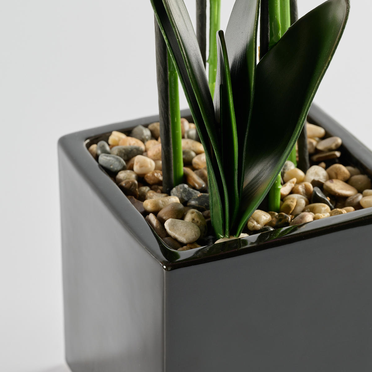 KUNSTPFLANZE Florettis - Violett, Keramik (65cm) - home&you