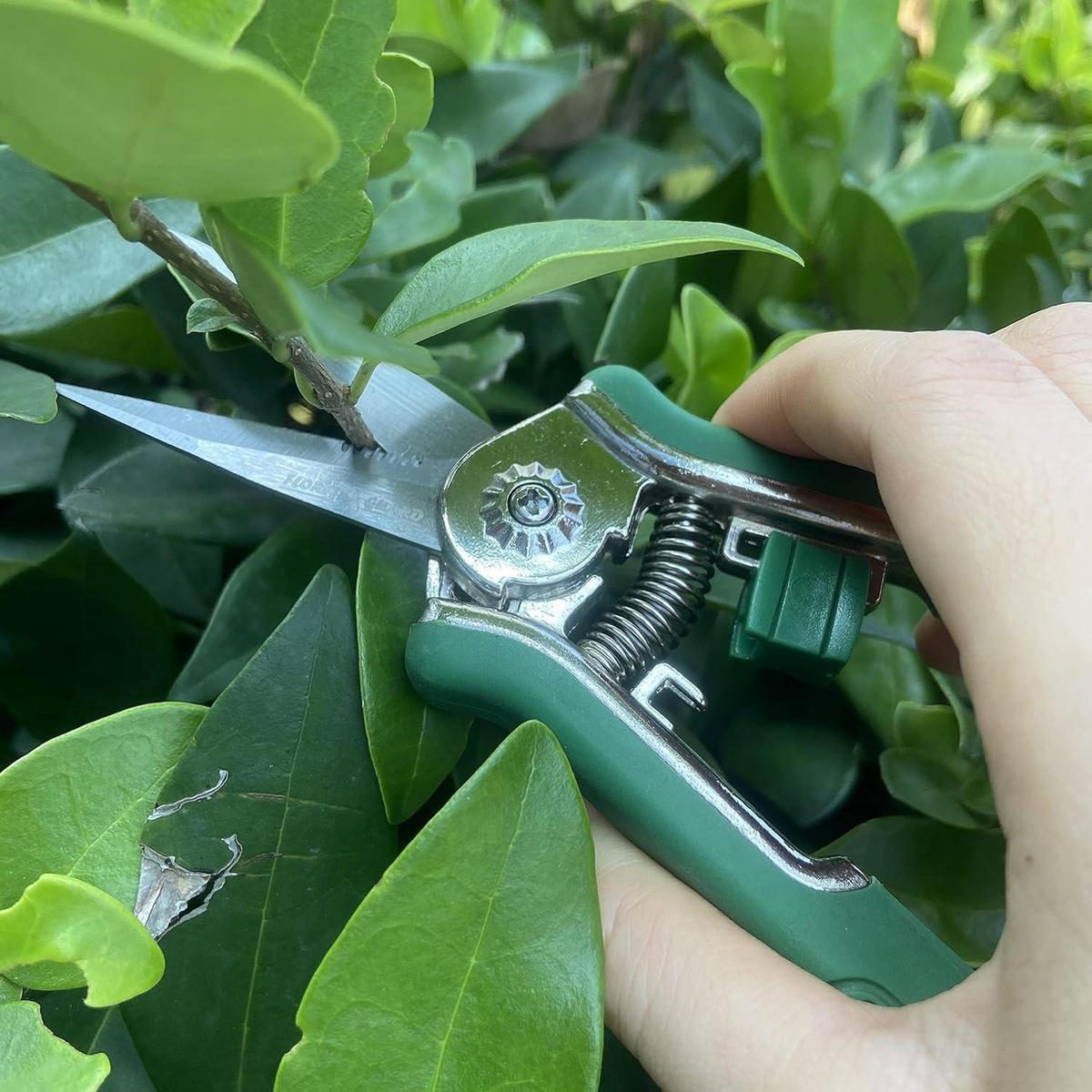 GARTENSCHERE 16,5 cm mit Soft-Touch-Griff Grün - Grün, Metall (2.3/1.6/10.3cm)