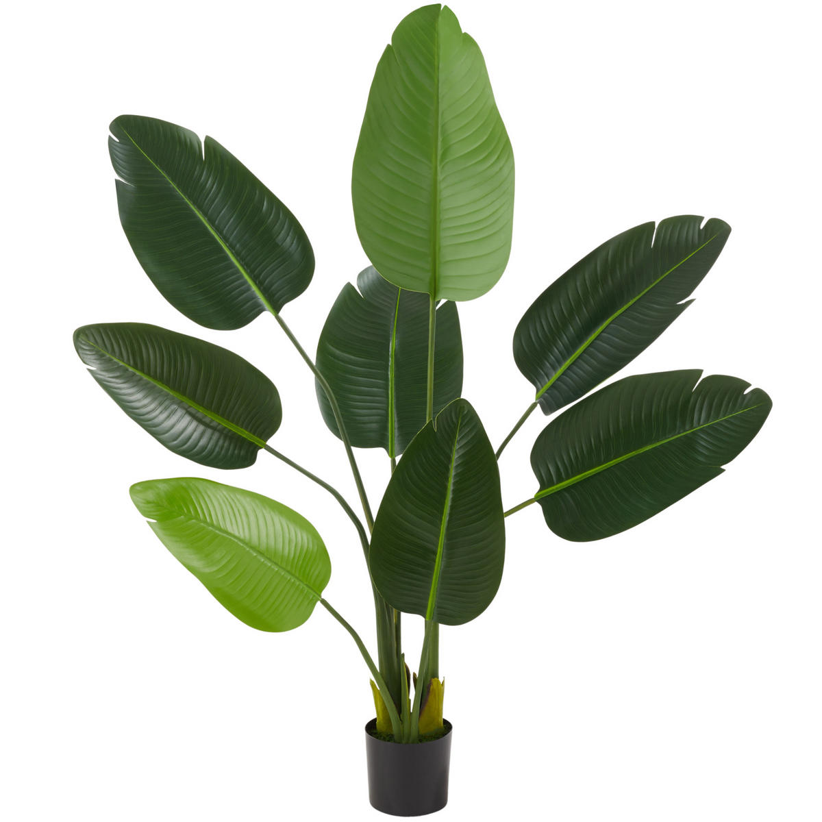 KÜNSTLICHER-PARADIESVOGELBAUM Tropic,stabiler Kunststoff-Blumentopf,grün - Grün, Kunststoff (120cm) - tectake