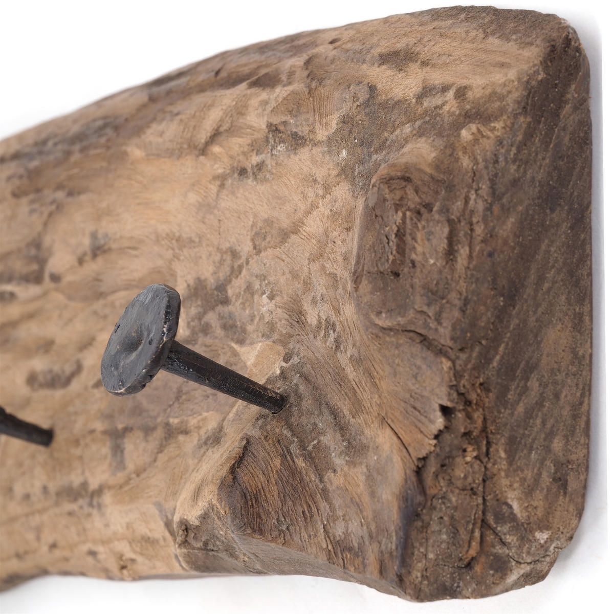 WANDGARDEROBE TREIBHOLZ 50 Massivholz naturfarben - Naturfarben, Holz (50/12/8cm) - DESIGN DELIGHTS