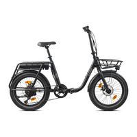 FALT E-BIKE 20" NEO.CULT, SCHWARZ - Schwarz, Metall (125cm) - LLOBE