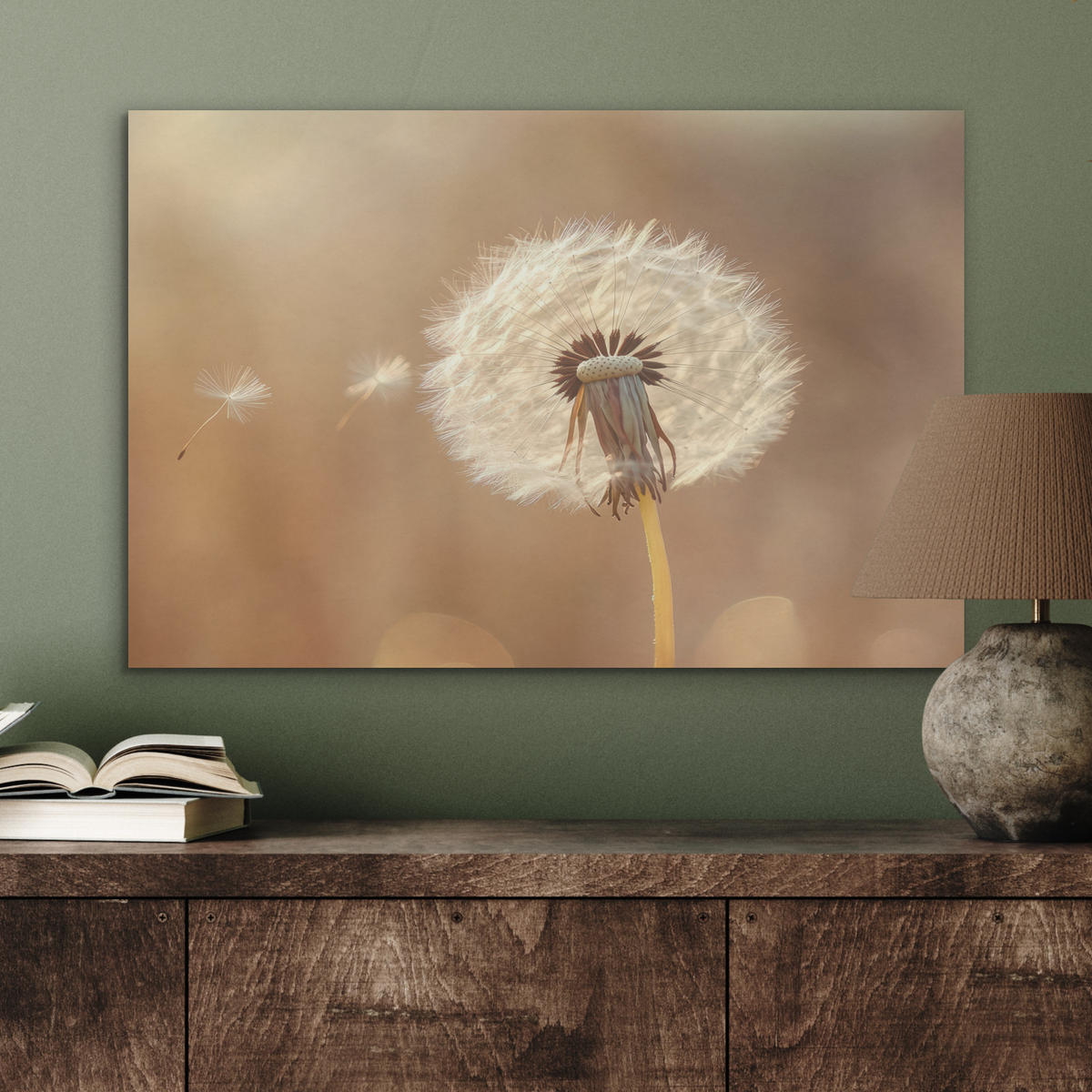 AKUSTIKBILD Löwenzahn - Beige - Natur - Blume Wanddeko 70x50 cm - Hellbraun, Kunststoff (70/50/0.9cm) - MuchoWow