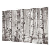 FOTOTAPETE 152x104 cm - Birkenwald - Schwarz, Textil (152/104cm) - Wallfluent