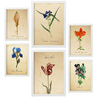 POSTER Set Mit 6 Blumen in Blau, Rot und Orange Größe A3 & A4 Weißer Rahmen - Weiß, Papier (29.7/1cm) - Nacnic