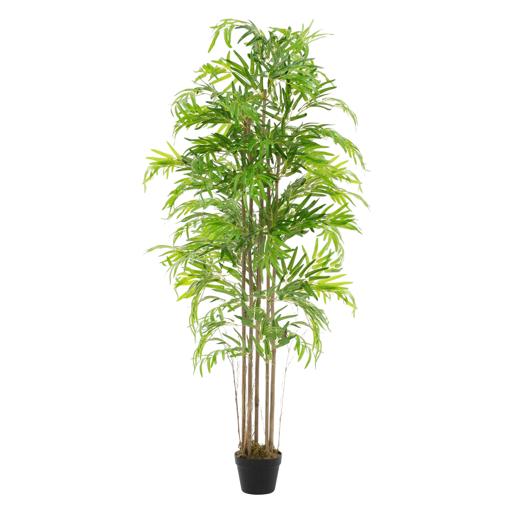 KUNSTPFLANZE Bambus - Anthrazit/Grün, Holz/Kunststoff (180cm) - ML-DESIGN