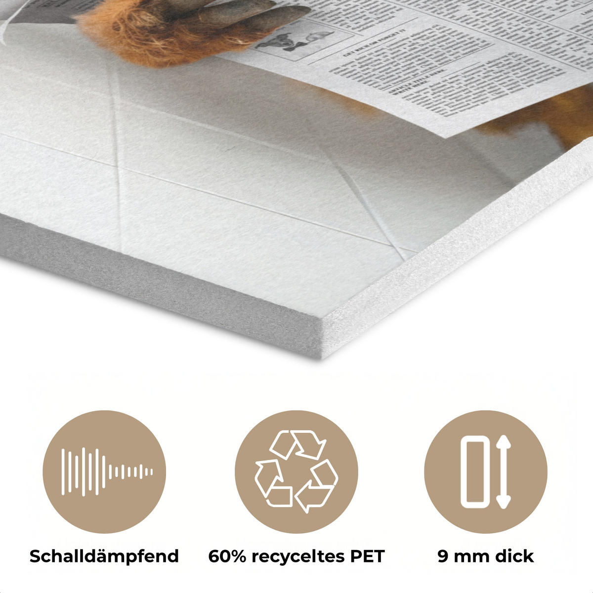 AKUSTIKPANEEL Schottisches Hochlandrind - Tier - Zeitung - Toilette 90x90 cm - Kastanienfarben, Textil (90/0.9/90cm) - MuchoWow