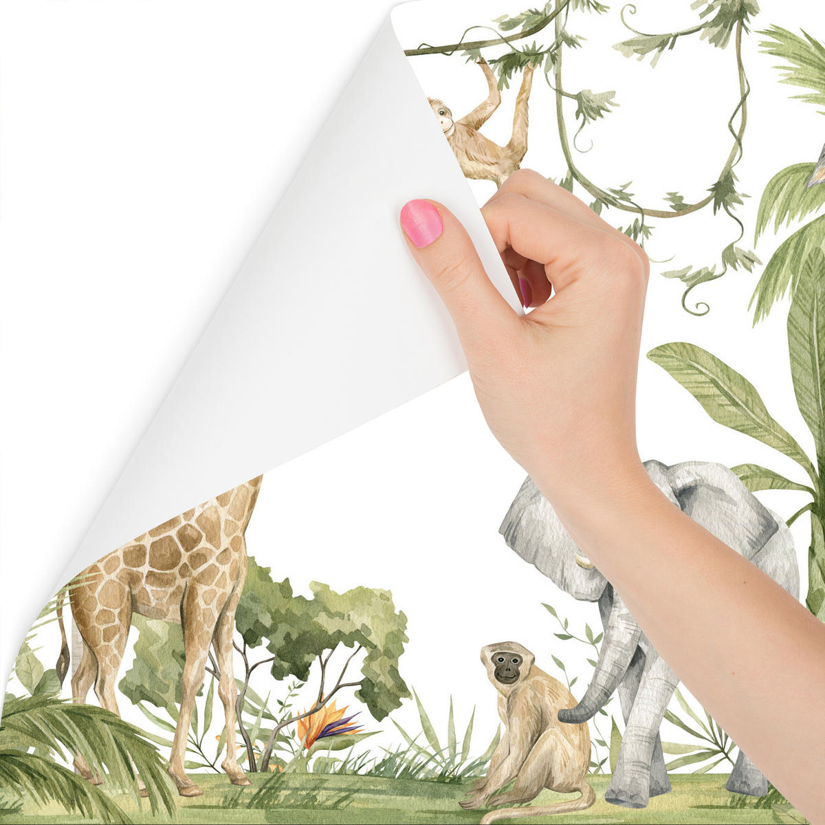 FOTOTAPETE für Kinderzimmer TIERE tropische Pflanzen Natur 460x300cm - Rot/Weiß, Papier (460/300cm) - Muralo