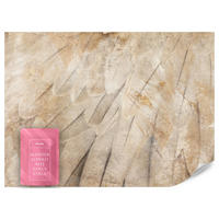 FOTOTAPETE Vogelflügel Beton Retro Stil 450x315 - Beige/Braun, Papier (450/315cm) - Muralo