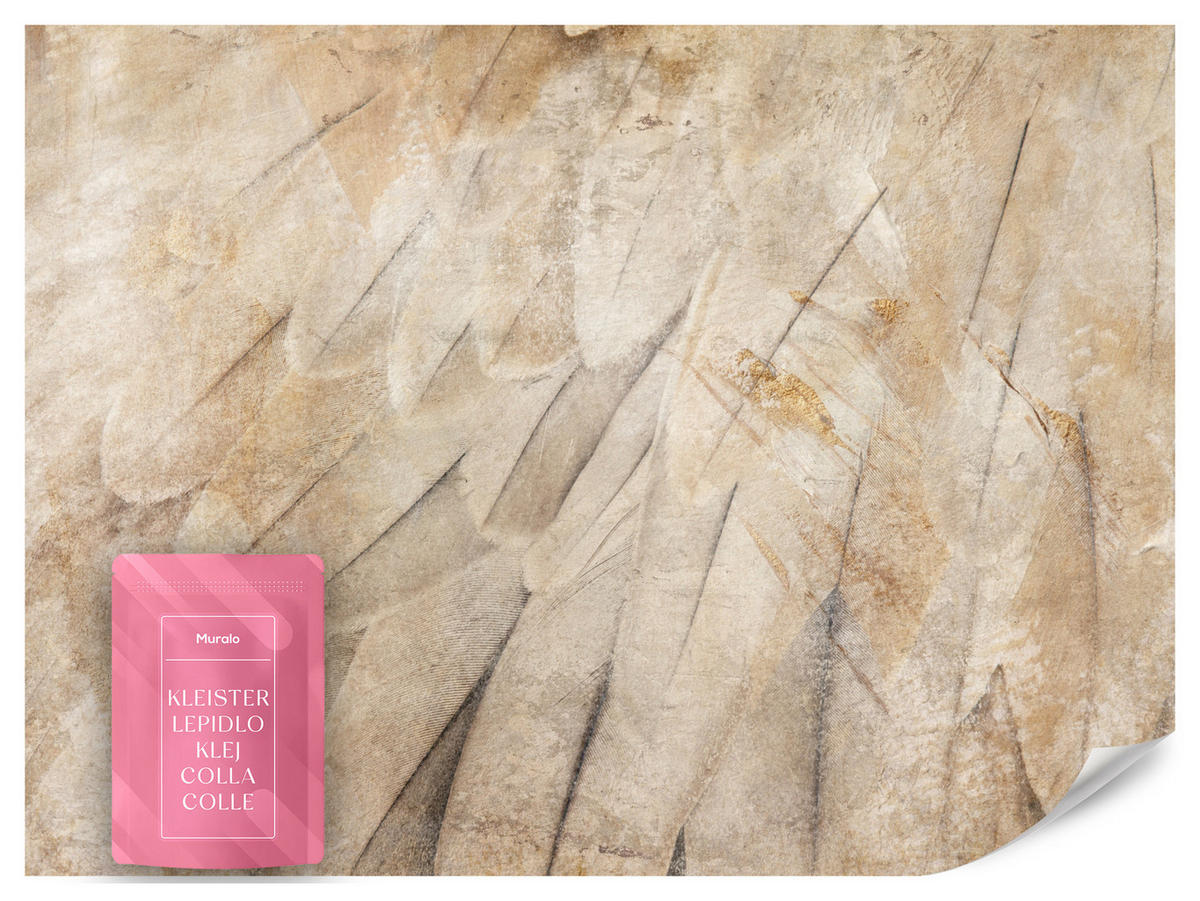 FOTOTAPETE Vogelflügel Beton Retro Stil 450x315 - Beige/Braun, Papier (450/315cm) - Muralo