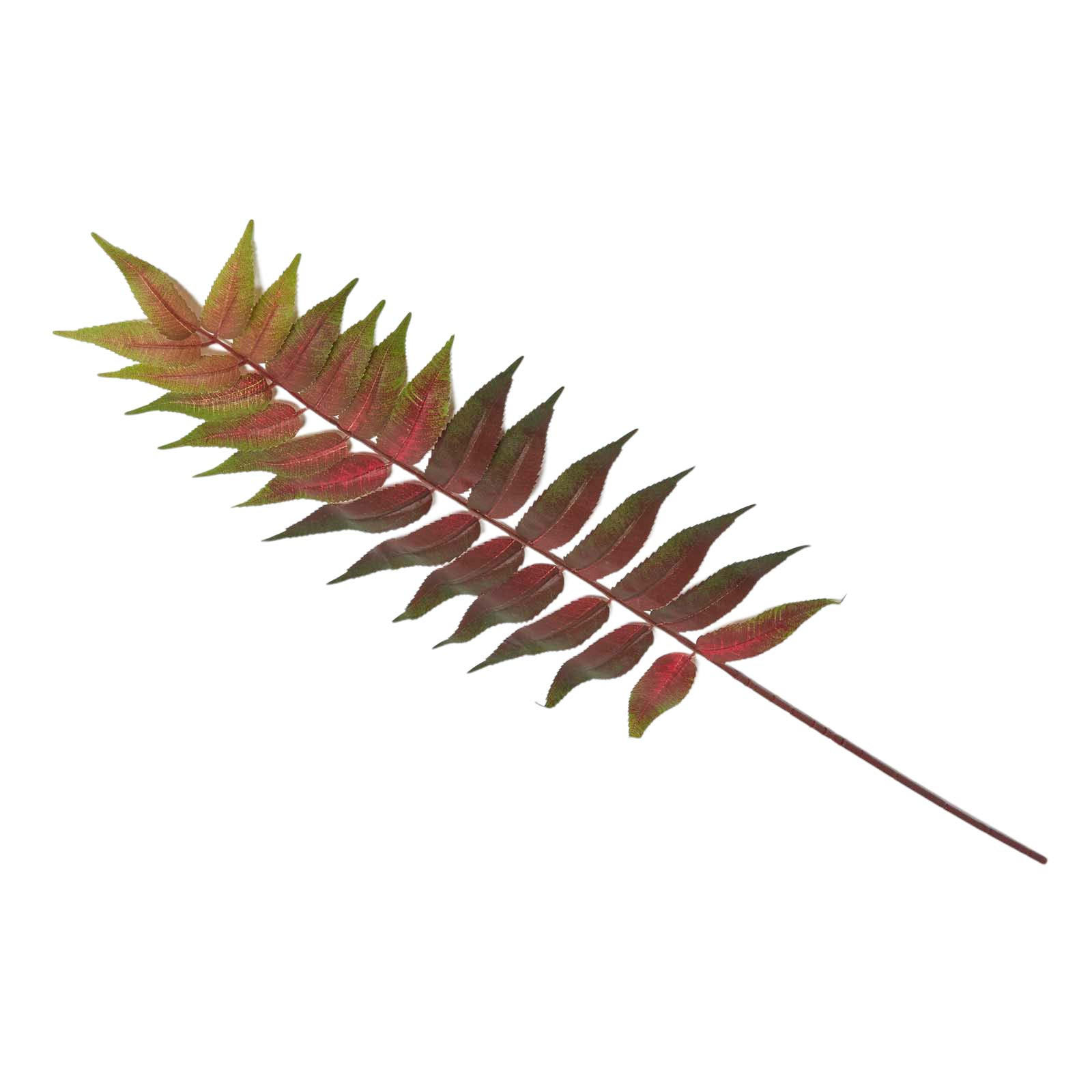 DEKOZWEIG Palmfarn rot-grün, 72 cm - Grün, Kunststoff (72cm) - Homescapes