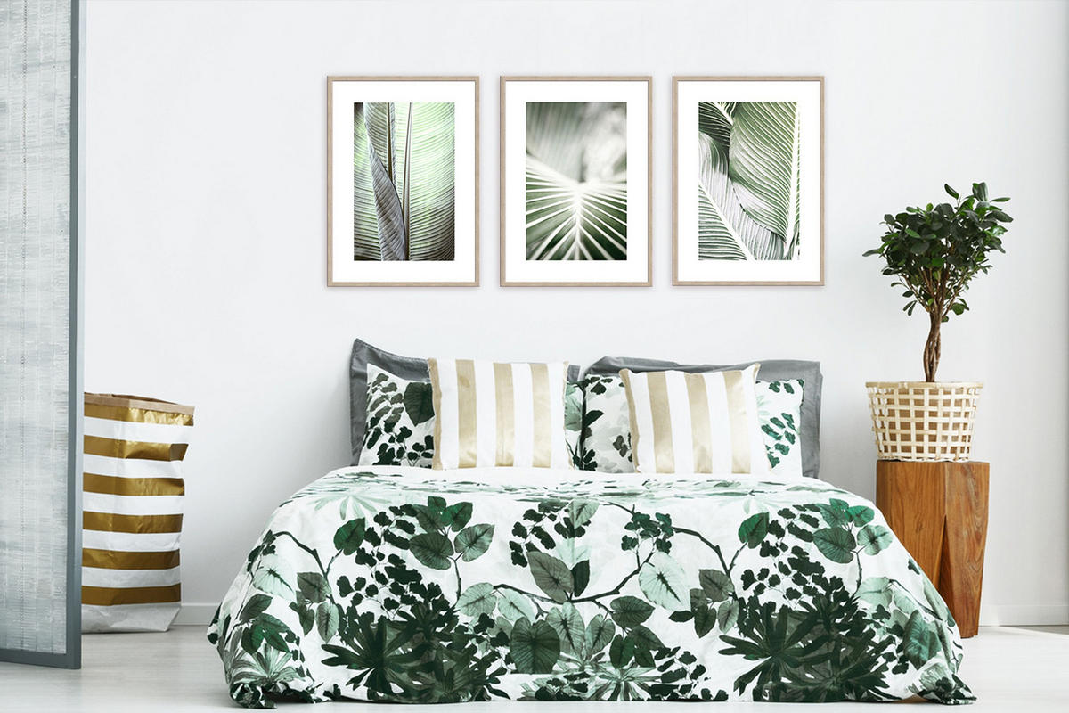 POSTER mit Rahmen 50x70 cm Tropisches Blatt Grün - Beige, Holz (51/71cm) - artissimo