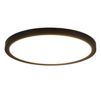 DECKENLEUCHTE Daphneira 30/30/2.4 cm - Schwarz, Kunststoff (30/30/2.4cm) - ZMH