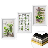 WANDBILDER 3er-Set - 20x30 cm Weißer Rahmen - Getrocknete Kräuter für die Küche - Weiß, Kunststoff (20/30cm) - ArtPrintCave