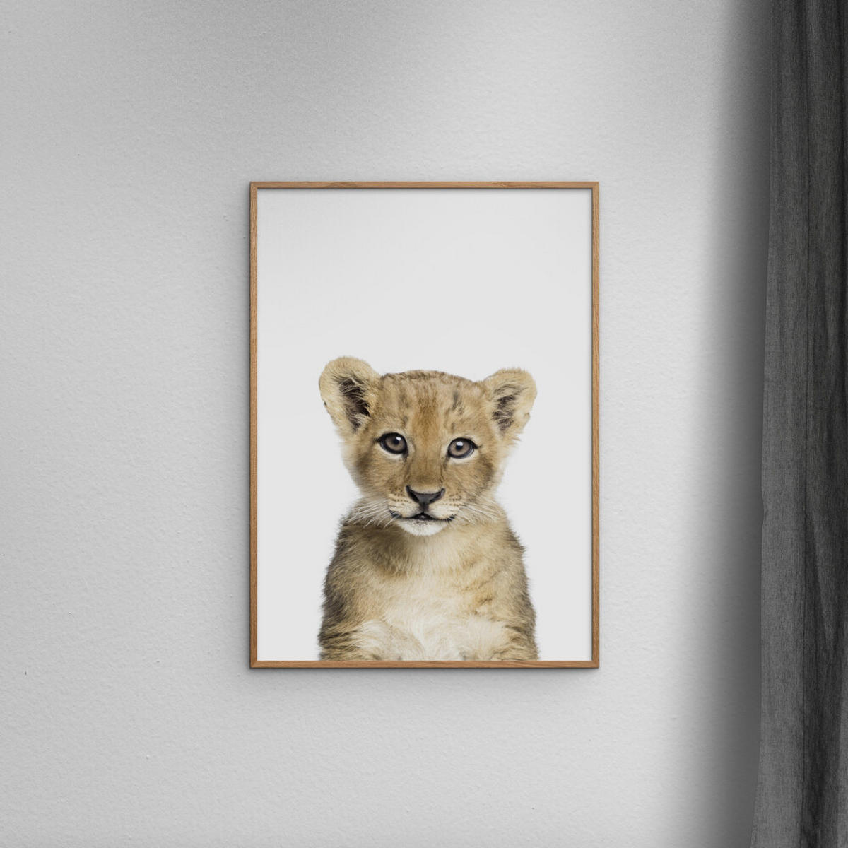 POSTER Kathrin Pienaar - Baby Lion - Weiß, Papier (70/100/0.1cm) - Poster&Frame