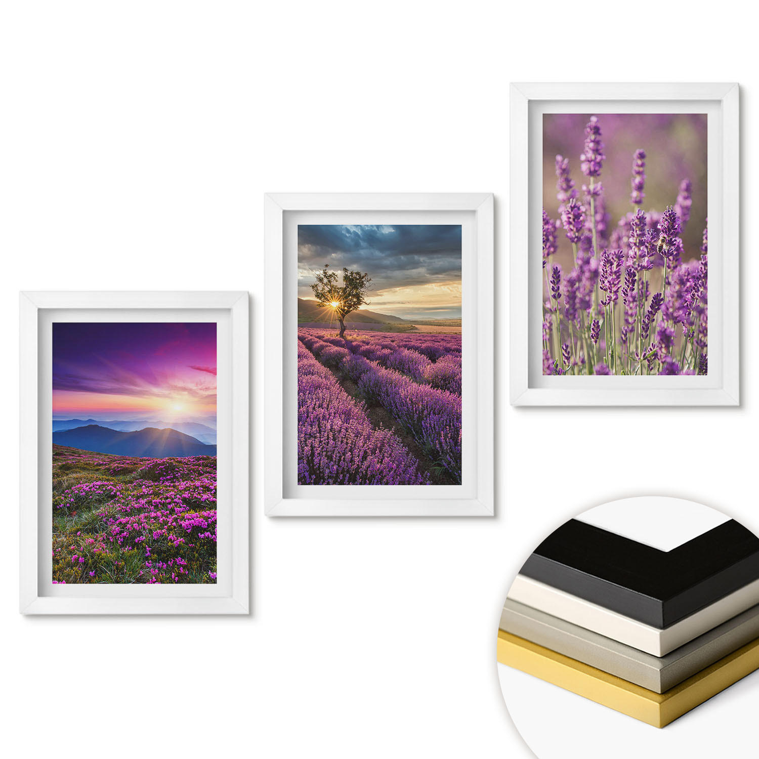 WANDBILDER 3er-Set - 20x30 cm Weißer Rahmen - Sonnenuntergang auf Lavendelfeldern - Weiß, Kunststoff (20/30cm) - ArtPrintCave