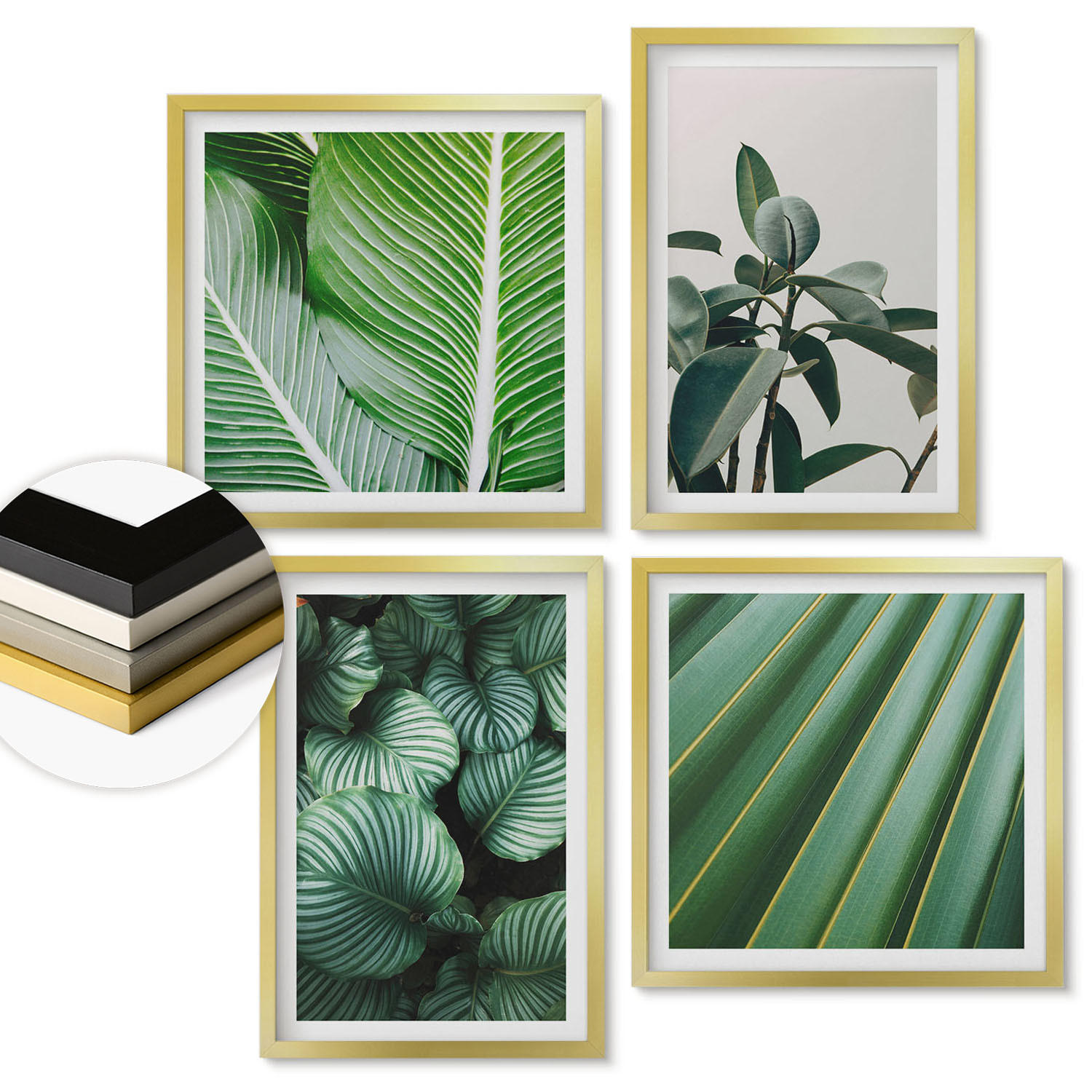 ArtPrintCave Wandbilder Gold 50x50 cm