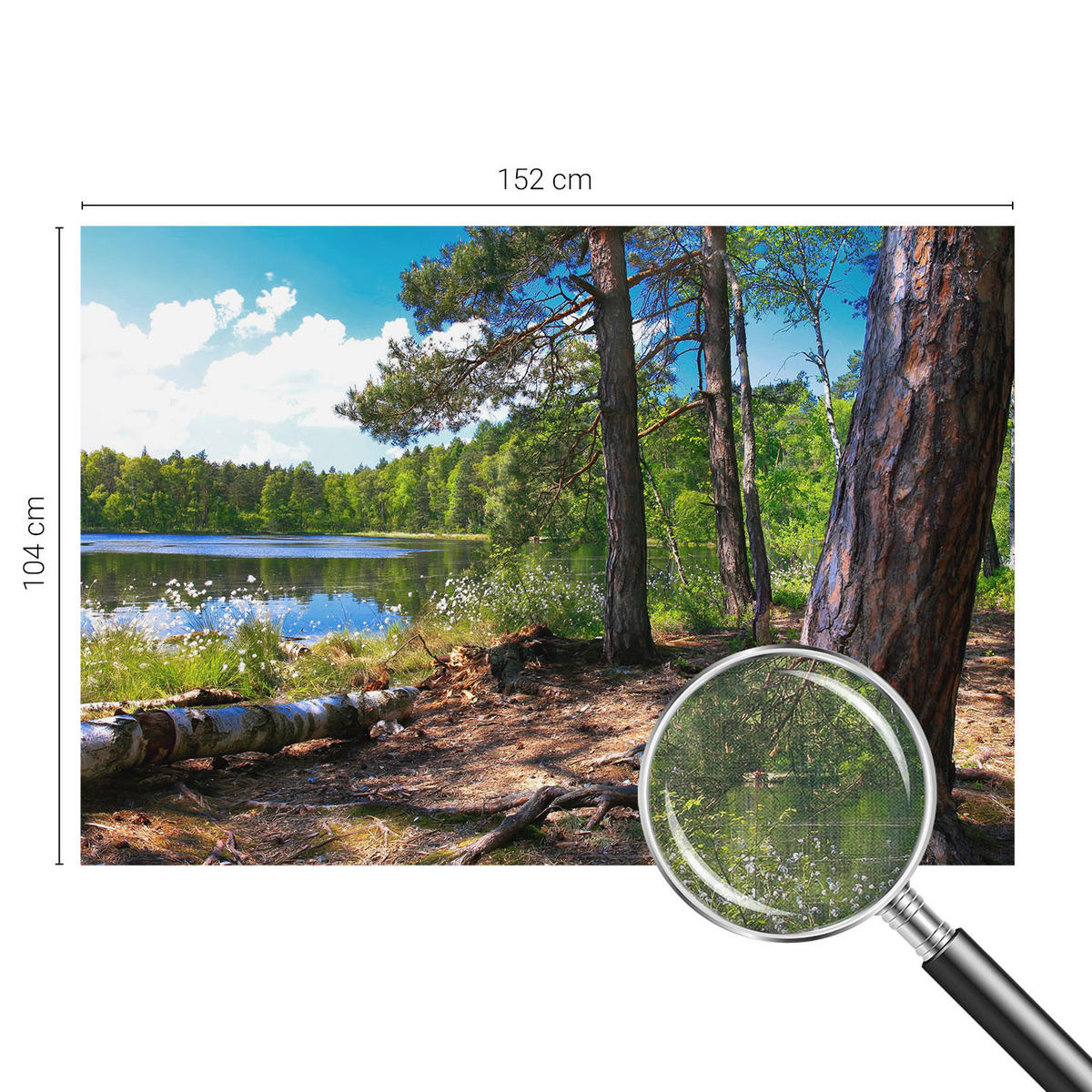 FOTOTAPETE 152x104 cm - Waldlandschaft - Grün, Textil (152/104cm) - Wallfluent