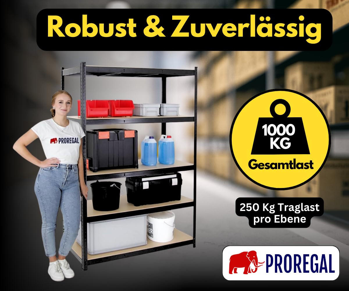 SCHWERLASTREGAL Taurus XL 180x160x60 cm Fachlast 250 kg Schwarz - Schwarz, Metall (160/180/60cm) - PROREGAL