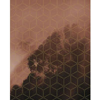 FOTOTAPETE Hexagon 200 x 250 cm - Terracotta, Papier (200/250cm) - Sanders & Sanders
