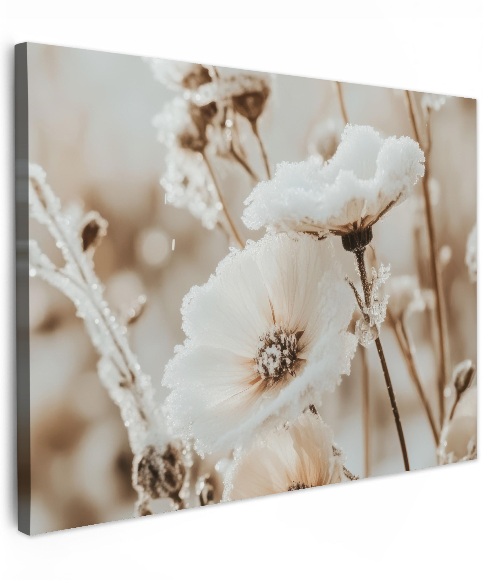 LEINWANDBILD Blumen - Winter - Weiß - Schnee - Beige Wandbilder 80x60 cm - Creme, Textil (80/60cm) - MuchoWow