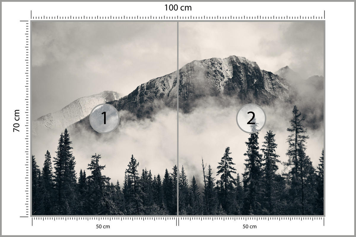 FOTOTAPETA Pre Obývaciu Izbu Ihličnatý Les V Hmle V Pozadí Hory 100 x 70 cm - čierna/sivá, papier (100/70cm) - Muralo