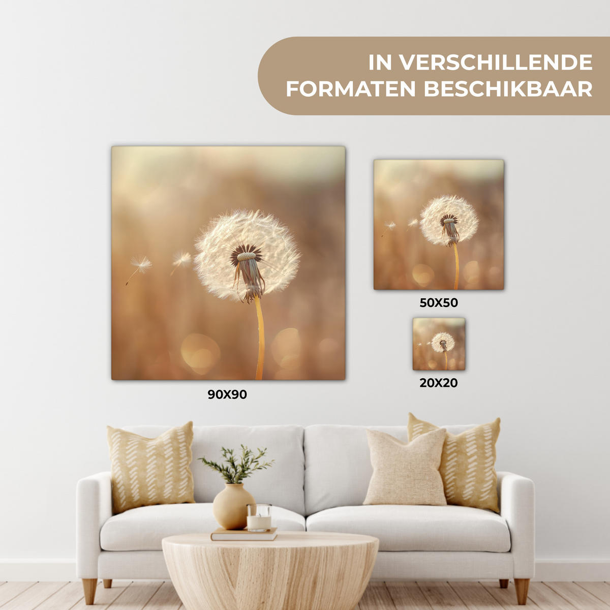 LEINWANDBILD Löwenzahn - Beige - Natur - Blume 50x50 cm - Hellbraun, Textil (50/50cm) - MuchoWow