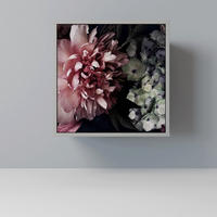 SIDEBOARD PURE BLOSSOM, Grau, 57,5x42x57,5 cm, Ohne Füße - Multicolor/Grau, Holzwerkstoff (57.5/57.5/42cm) - SpaceRebels
