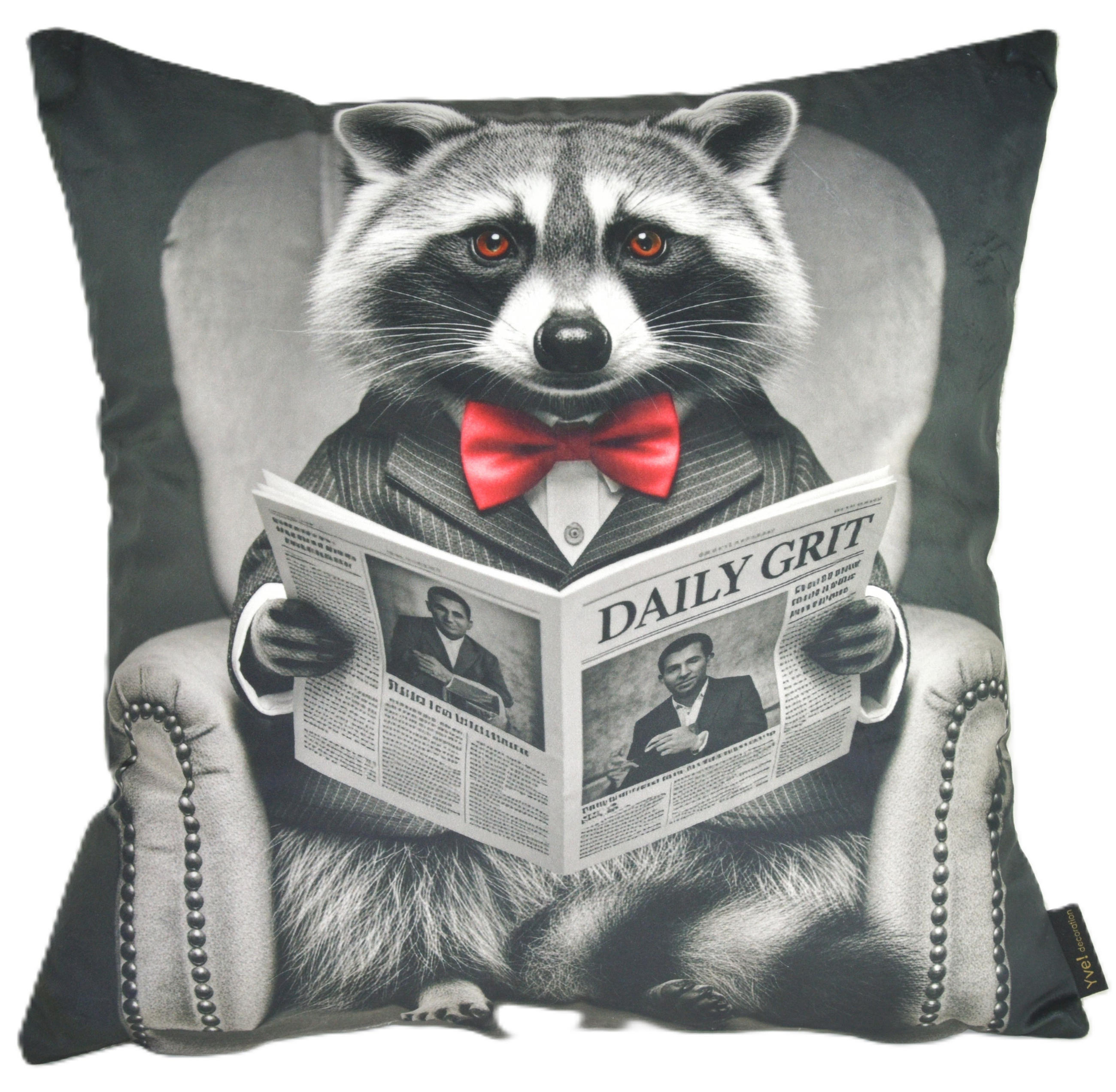 KISSENHÜLLE WASCHBÄR BILL Zeitung - Graubraun, Textil (45/45cm) - Yve! decoration