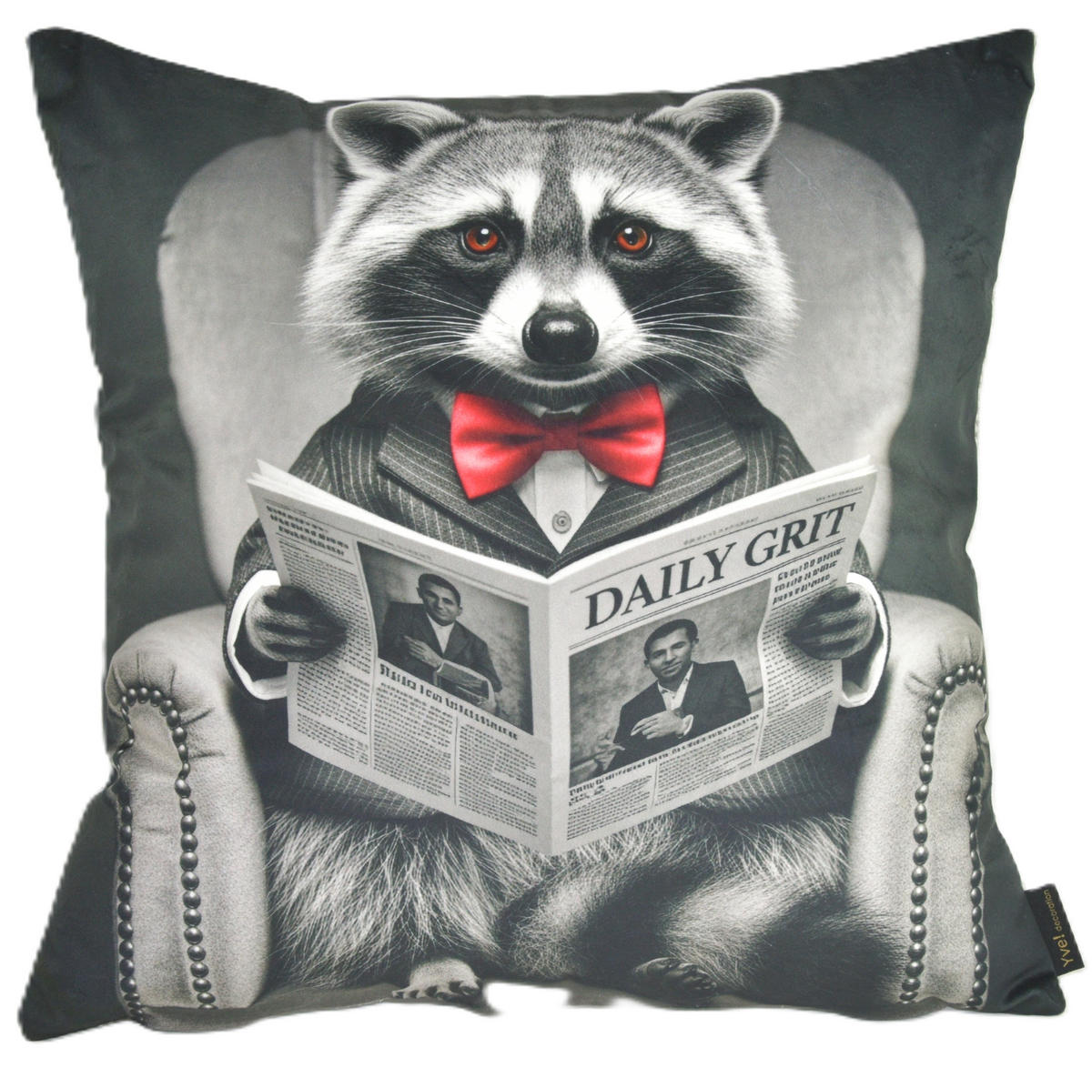 KISSENHÜLLE WASCHBÄR BILL Zeitung - Graubraun, Textil (45/45cm) - Yve! decoration